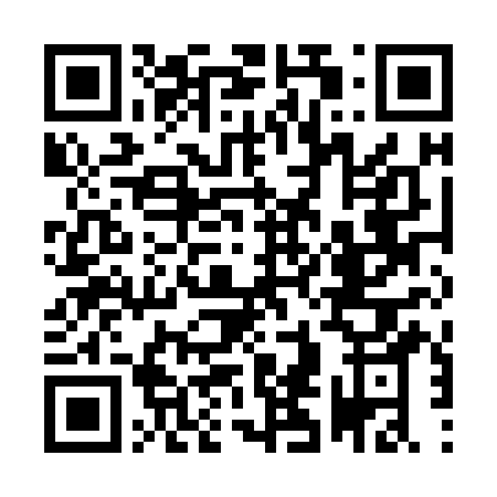 QR code to download DetectMapper on the App Store